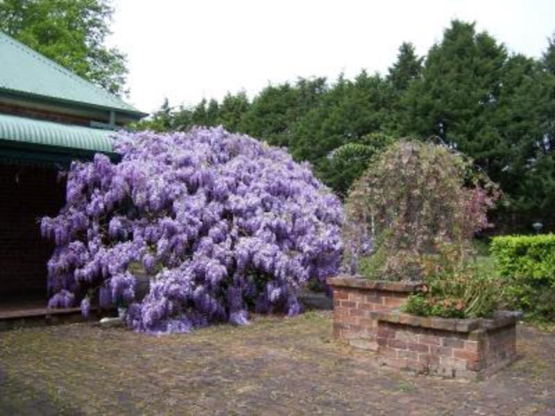 Heronswood House B & B Moss Vale Bagian luar foto